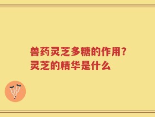 兽药灵芝多糖的作用？灵芝的精华是什么