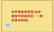 太岁地宝肉灵芝(太岁地宝中的肉灵芝：一种珍贵中药材)