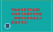 专收蜂窝灵芝的品牌(蜂窝灵芝品牌专注收割，原材料选自纯净无污染生长环境)