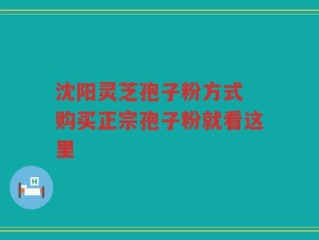 沈阳灵芝孢子粉方式 购买正宗孢子粉就看这里