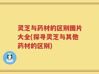 灵芝与药材的区别图片大全(探寻灵芝与其他药材的区别)