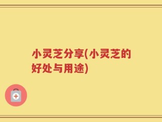 小灵芝分享(小灵芝的好处与用途)