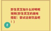 野生灵芝加什么好喝呢视频(野生灵芝的美味搭配：尝试这些饮品吧！)