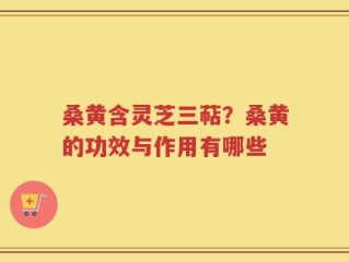 桑黄含灵芝三萜？桑黄的功效与作用有哪些