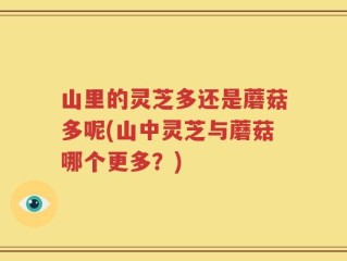 山里的灵芝多还是蘑菇多呢(山中灵芝与蘑菇哪个更多？)