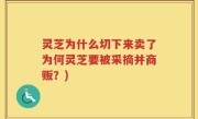 灵芝为什么切下来卖了为何灵芝要被采摘并商贩？)