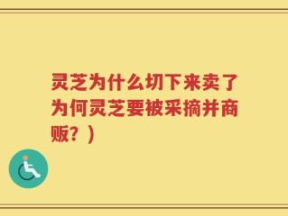 灵芝为什么切下来卖了为何灵芝要被采摘并商贩？)