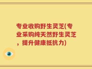 专业收购野生灵芝(专业采购纯天然野生灵芝，提升健康抵抗力)