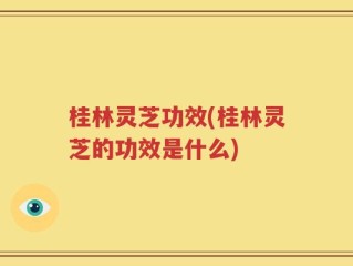桂林灵芝功效(桂林灵芝的功效是什么)