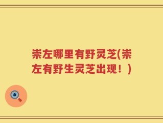 崇左哪里有野灵芝(崇左有野生灵芝出现！)