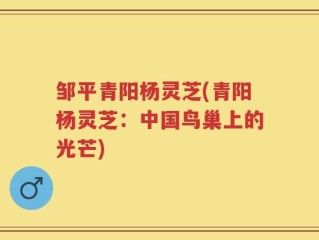 邹平青阳杨灵芝(青阳杨灵芝：中国鸟巢上的光芒)
