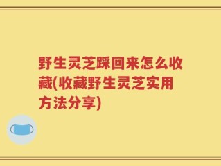 野生灵芝踩回来怎么收藏(收藏野生灵芝实用方法分享)