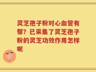灵芝孢子粉对心血管有帮？已采集了灵芝孢子粉的灵芝功效作用怎样呢