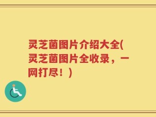 灵芝菌图片介绍大全(灵芝菌图片全收录，一网打尽！)