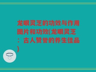龙眼灵芝的功效与作用图片和功效(龙眼灵芝：古人赞誉的养生佳品)