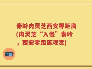 秦岭肉灵芝西安零距离(肉灵芝“入侵”秦岭，西安零距离观赏)