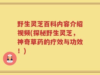 野生灵芝百科内容介绍视频(探秘野生灵芝，神奇草药的疗效与功效！)