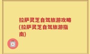 拉萨灵芝自驾旅游攻略(拉萨灵芝自驾旅游指南)