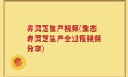赤灵芝生产视频(生态赤灵芝生产全过程视频分享)