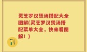灵芝罗汉煲汤搭配大全图解(灵芝罗汉煲汤搭配菜单大全，快来看图解！)