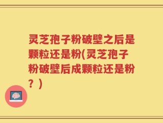 灵芝孢子粉破壁之后是颗粒还是粉(灵芝孢子粉破壁后成颗粒还是粉？)