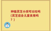 种植灵芝小孩可以吃吗(灵芝适合儿童食用吗？)