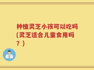 种植灵芝小孩可以吃吗(灵芝适合儿童食用吗？)