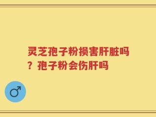 灵芝孢子粉损害肝脏吗？孢子粉会伤肝吗