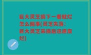 巨大灵芝摘下一看就烂怎么回事(灵芝失落：巨大灵芝采摘后迅速腐烂)