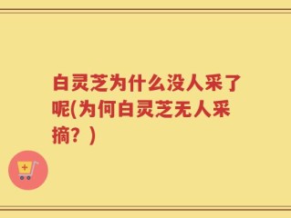 白灵芝为什么没人采了呢(为何白灵芝无人采摘？)