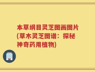 本草纲目灵芝图画图片(草木灵芝图谱：探秘神奇药用植物)