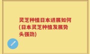 灵芝种植日本进展如何(日本灵芝种植发展势头强劲)