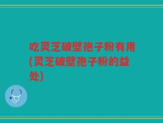 吃灵芝破壁孢子粉有用(灵芝破壁孢子粉的益处)