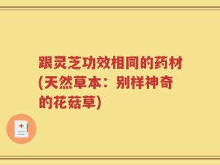 跟灵芝功效相同的药材(天然草本：别样神奇的花菇草)
