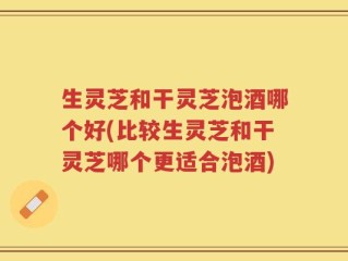 生灵芝和干灵芝泡酒哪个好(比较生灵芝和干灵芝哪个更适合泡酒)