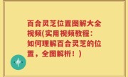 百合灵芝位置图解大全视频(实用视频教程：如何理解百合灵芝的位置，全图解析！)