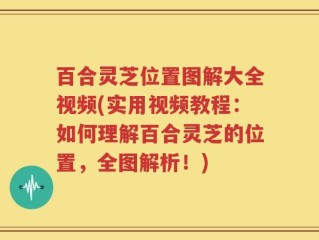 百合灵芝位置图解大全视频(实用视频教程：如何理解百合灵芝的位置，全图解析！)