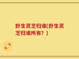 野生灵芝归谁(野生灵芝归谁所有？)