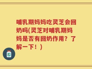 哺乳期妈妈吃灵芝会回奶吗(灵芝对哺乳期妈妈是否有回奶作用？了解一下！)