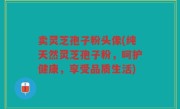 卖灵芝孢子粉头像(纯天然灵芝孢子粉，呵护健康，享受品质生活)