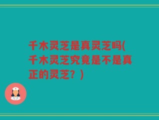千木灵芝是真灵芝吗(千木灵芝究竟是不是真正的灵芝？)