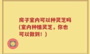房子室内可以种灵芝吗(室内种植灵芝，你也可以做到！)