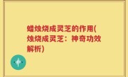 蜡烛烧成灵芝的作用(烛烧成灵芝：神奇功效解析)