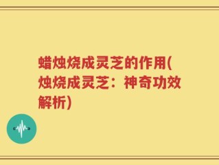 蜡烛烧成灵芝的作用(烛烧成灵芝：神奇功效解析)