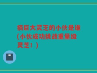 摘巨大灵芝的小伙是谁(小伙成功挑战重量级灵芝！)