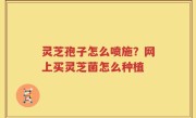 灵芝孢子怎么喷施？网上买灵芝菌怎么种植