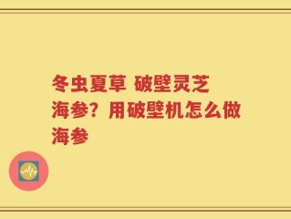 冬虫夏草 破壁灵芝 海参？用破壁机怎么做海参