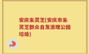 安庆朱灵芝(安庆市朱灵芝群众自发清理公园垃圾)