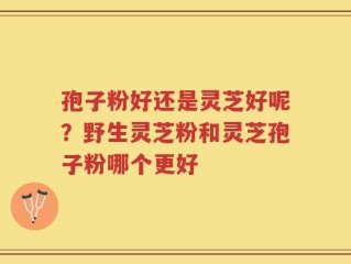 孢子粉好还是灵芝好呢？野生灵芝粉和灵芝孢子粉哪个更好