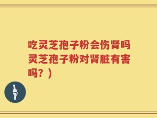 吃灵芝孢子粉会伤肾吗灵芝孢子粉对肾脏有害吗？)
